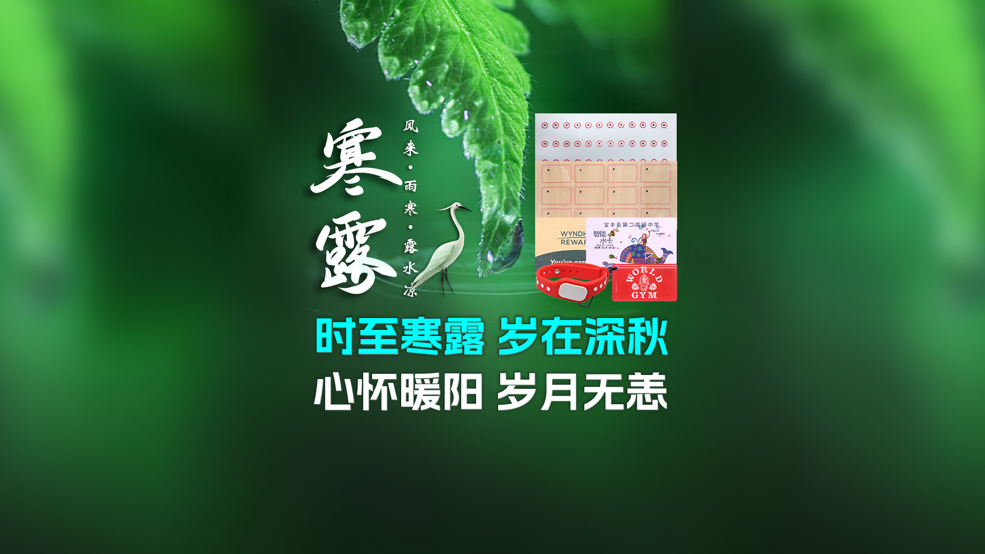 寒露至秋意濃，卡立方集團攜RFID智能卡中料木卡腕帶伴您暖度深秋