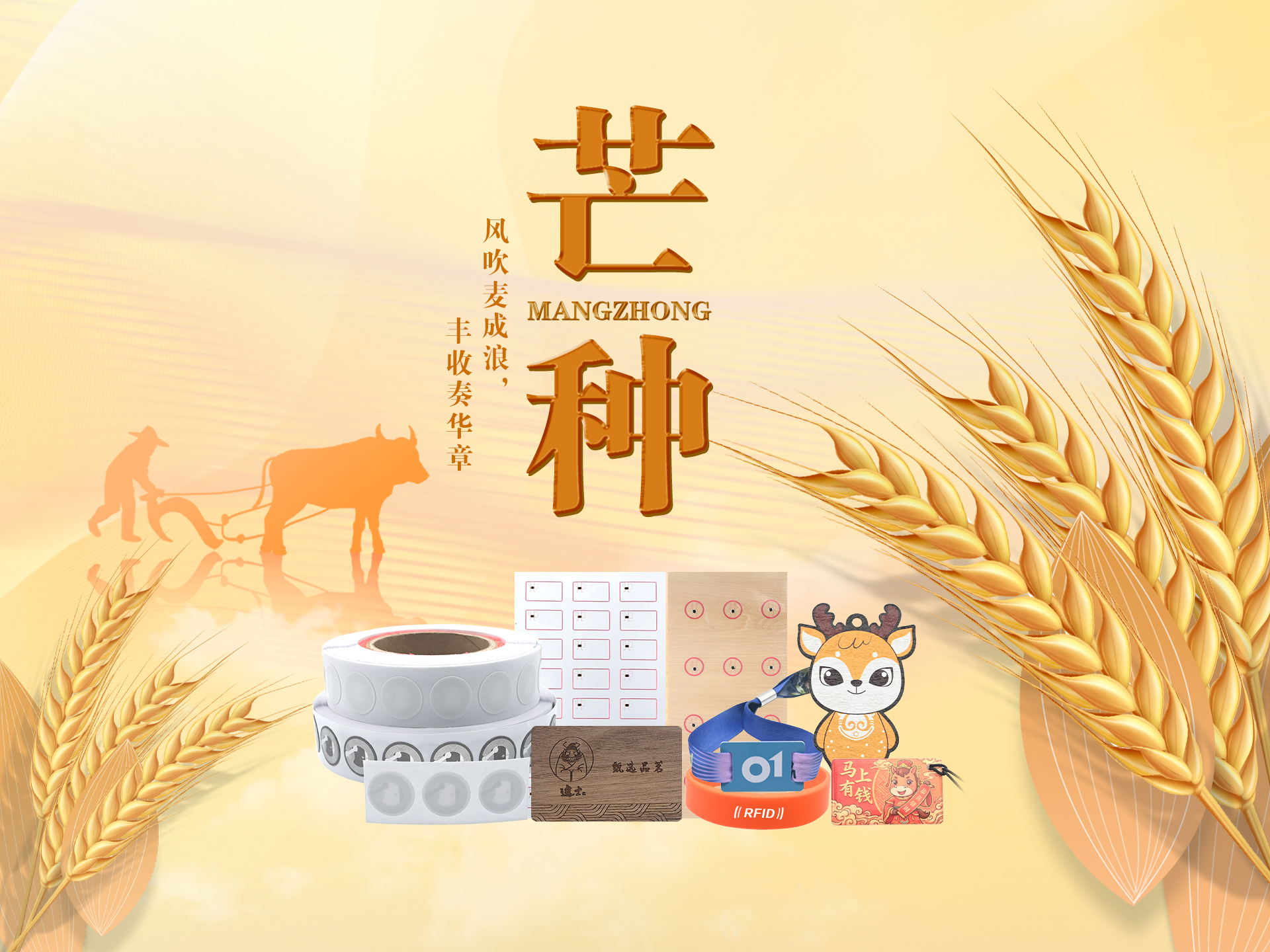 芒種耕耘正當時｜卡立方集團雙基地精工智造，RFID智能卡木卡硅膠腕帶NFC標簽賦能萬物互聯數字化